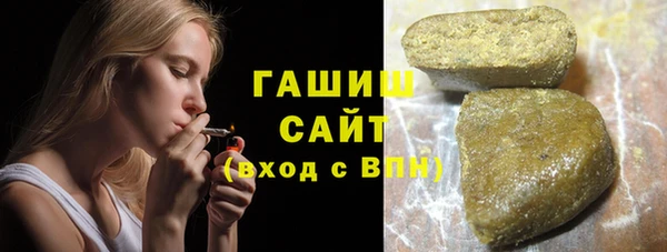 гидра Вязьма