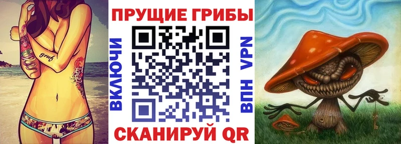 Псилоцибиновые грибы Psilocybe  Купить где  Новый Оскол 